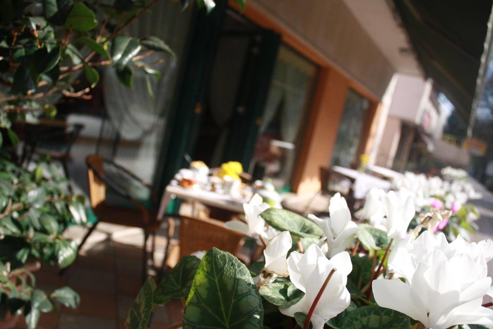 Hotel Damodoro Pordenone Extérieur photo